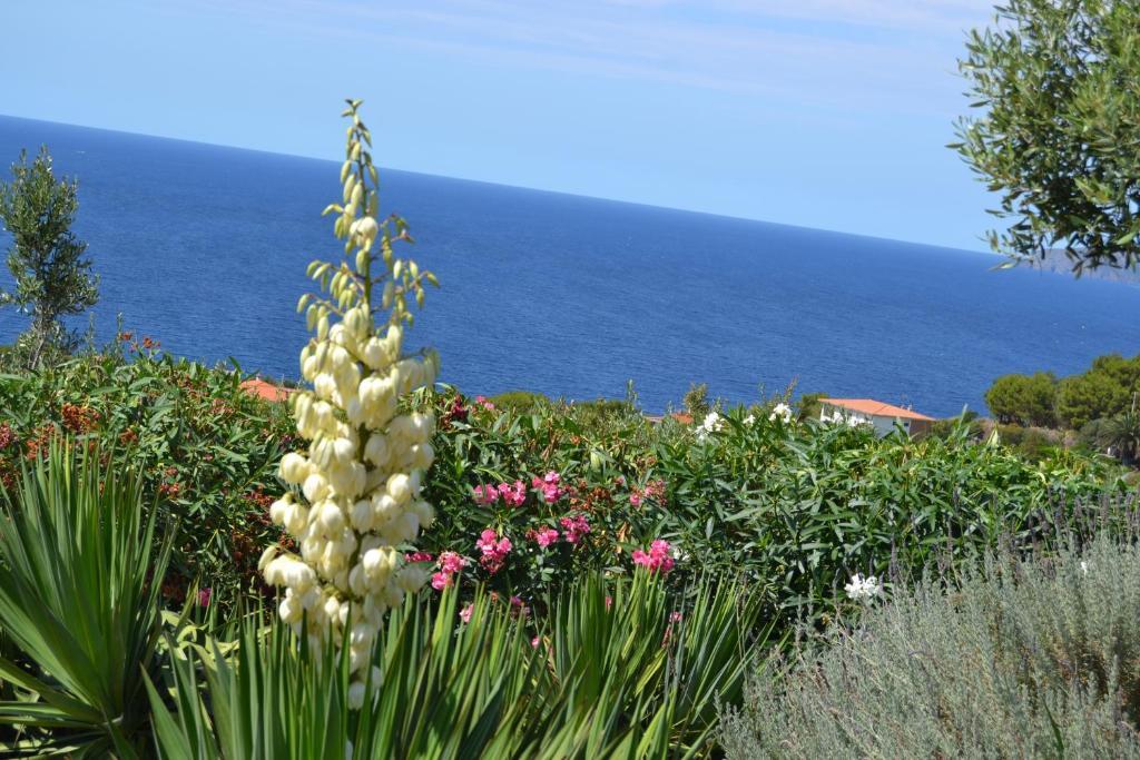 Magomadas Villa Pischinas מראה חיצוני תמונה